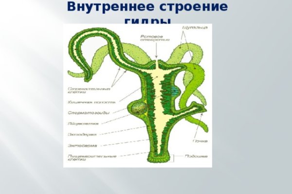 Кракен ссылка онион майл kraken6.at kraken7.at kraken8.at